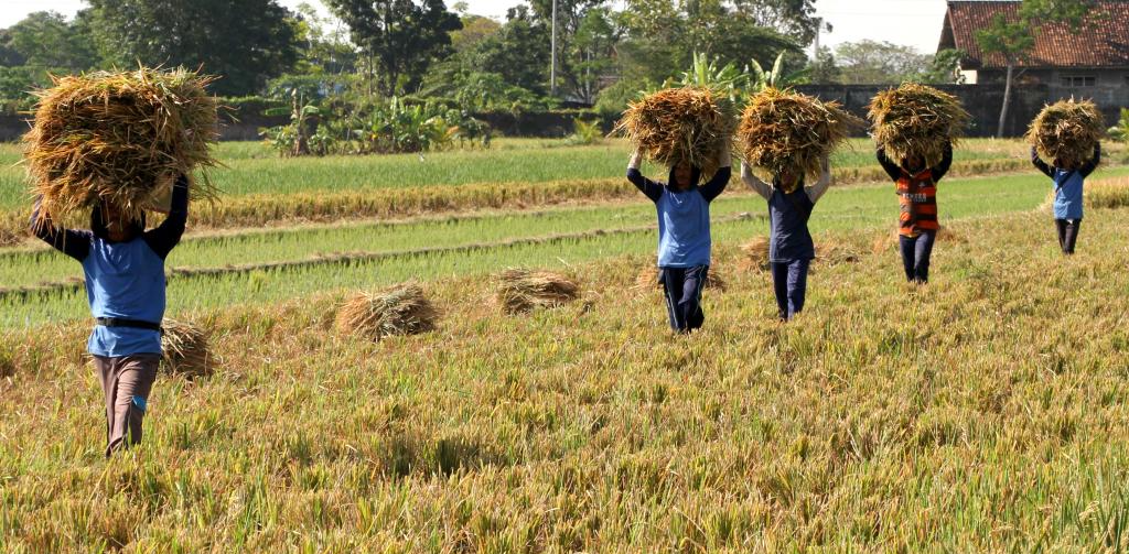 image_2026-04-28_07-18-59