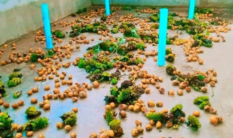 photo_2022-12-09_12-21-24 (3)