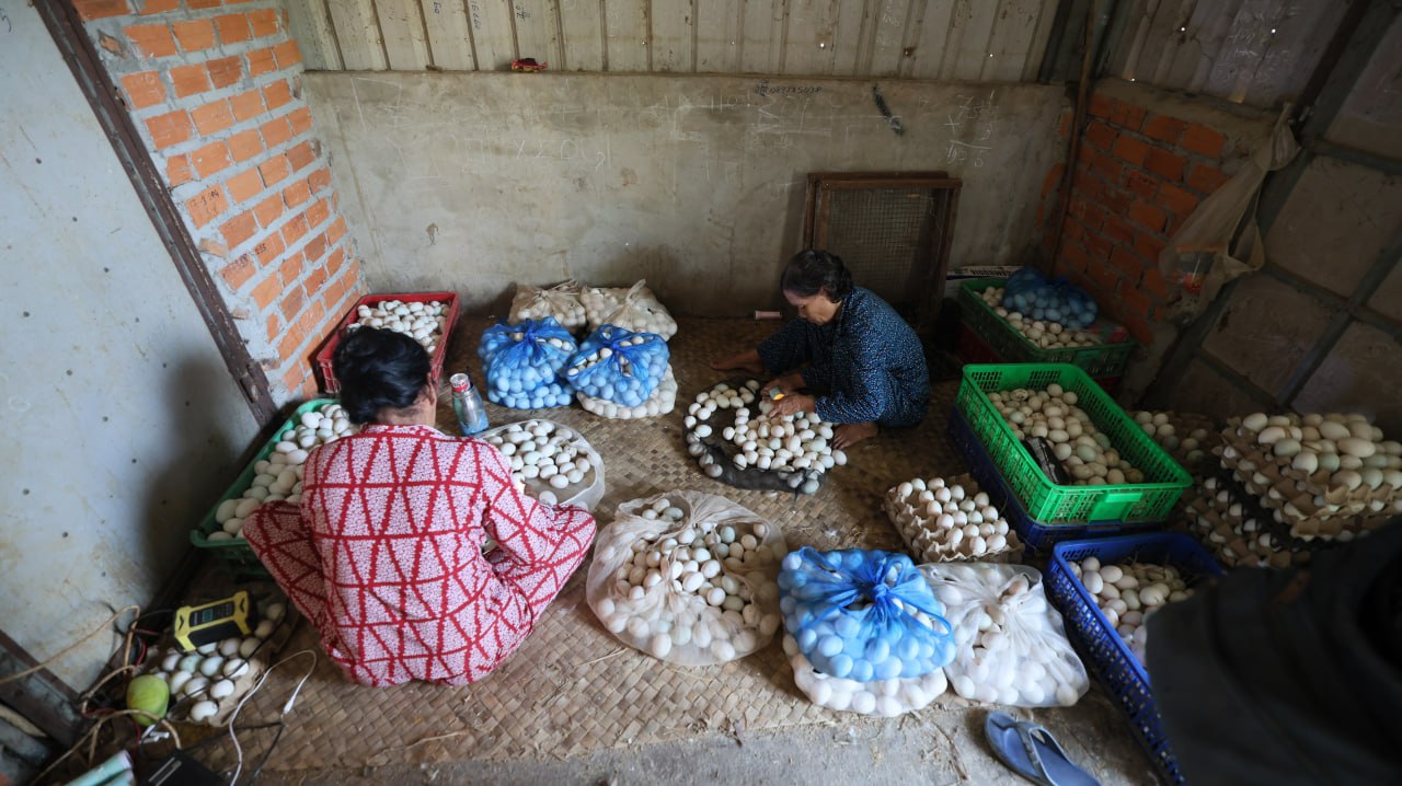 photo_2026-04-09_10-13-39