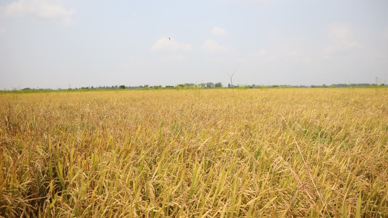 photo_2026-04-20_09-28-40