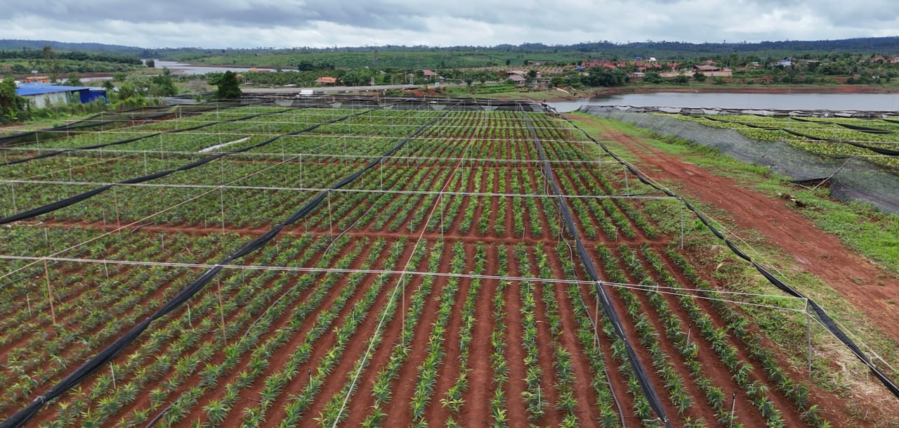 photo_2026-04-21_07-58-11