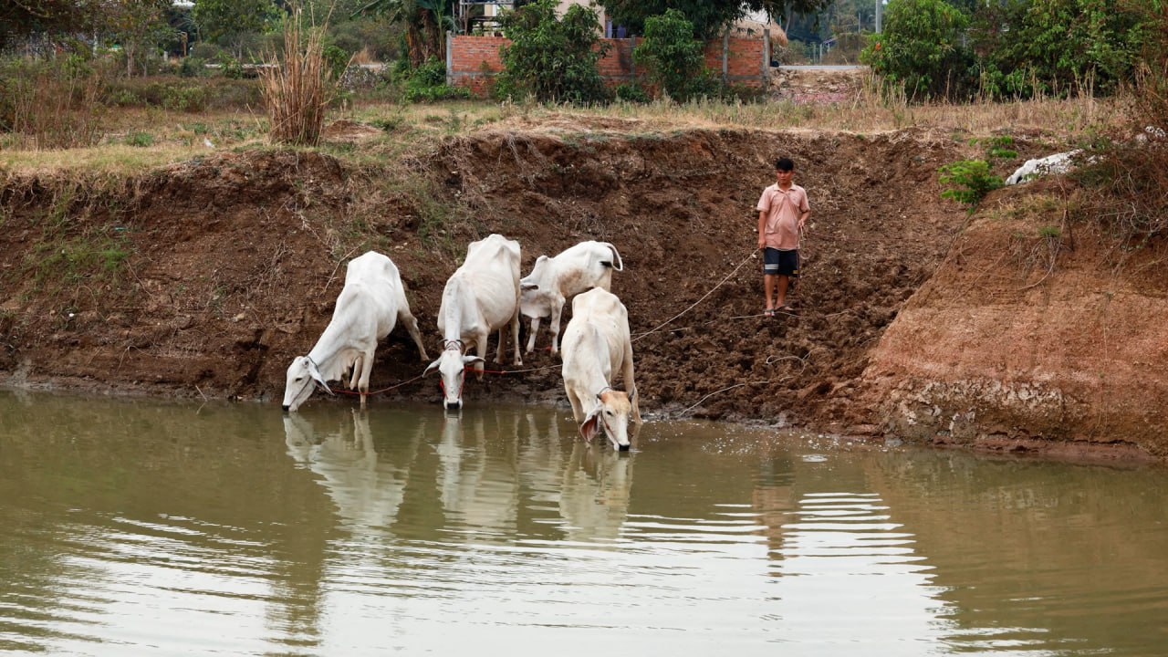 photo_2026-04-21_10-27-07