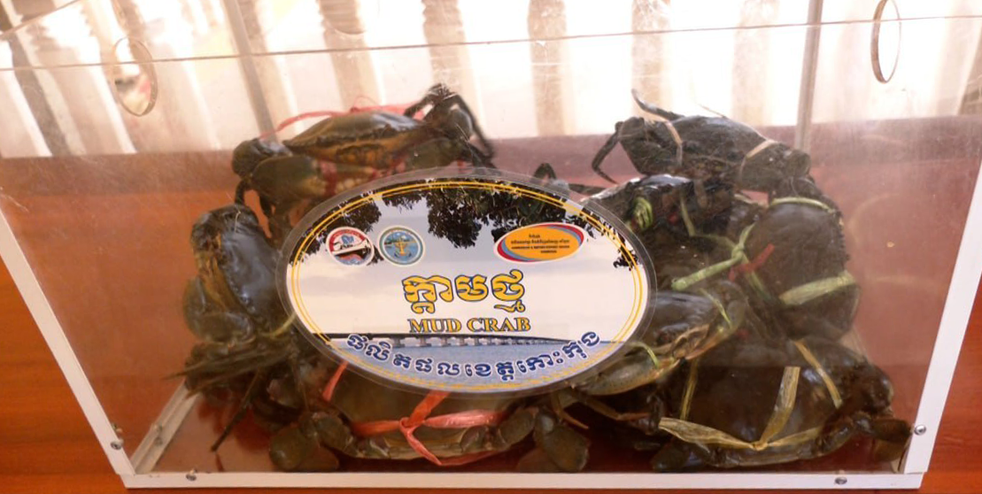 photo_2026-04-22_13-45-51 (4)