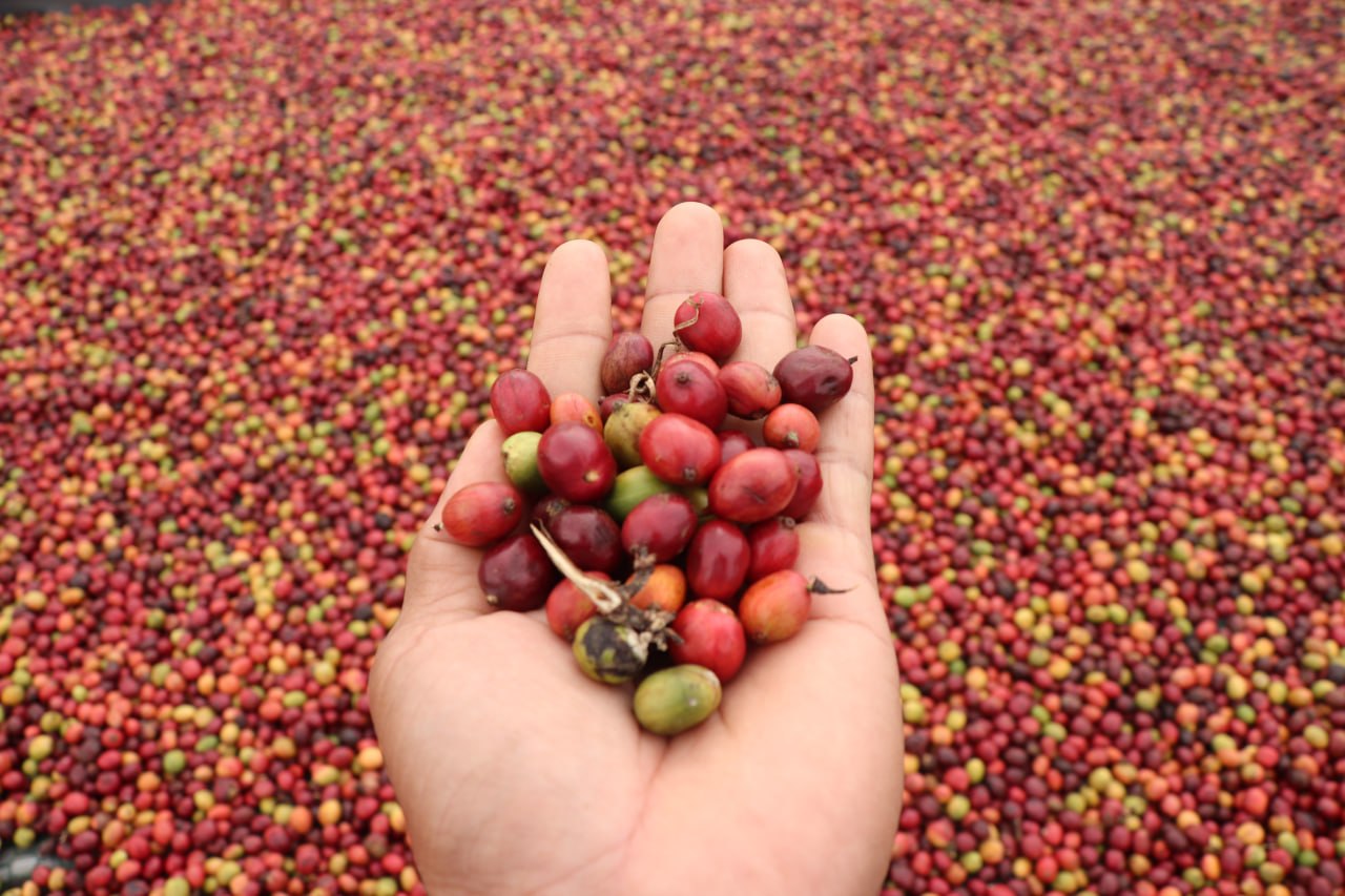 photo_2026-04-23_08-50-02 (2)