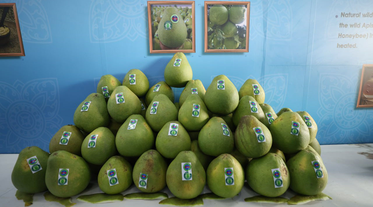 photo_2026-04-29_09-01-25