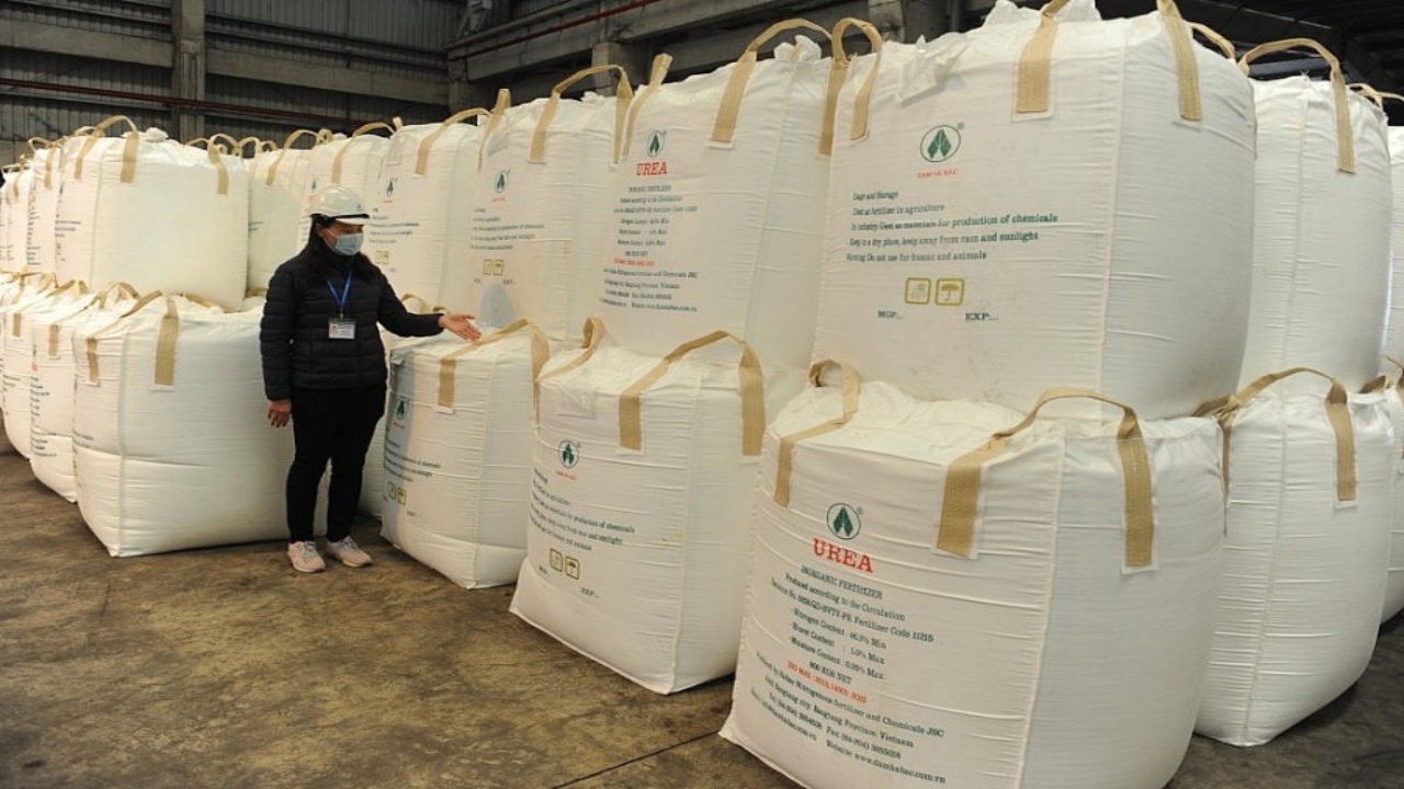 Fertilizer-to-become-billion-dollar-export-item