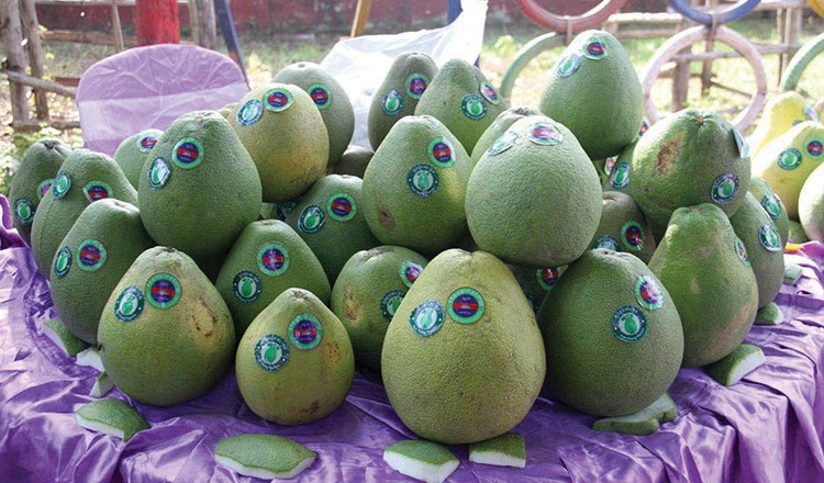 The-pomelo-grown-in-Kratie’s-Koh-Trong-commune-