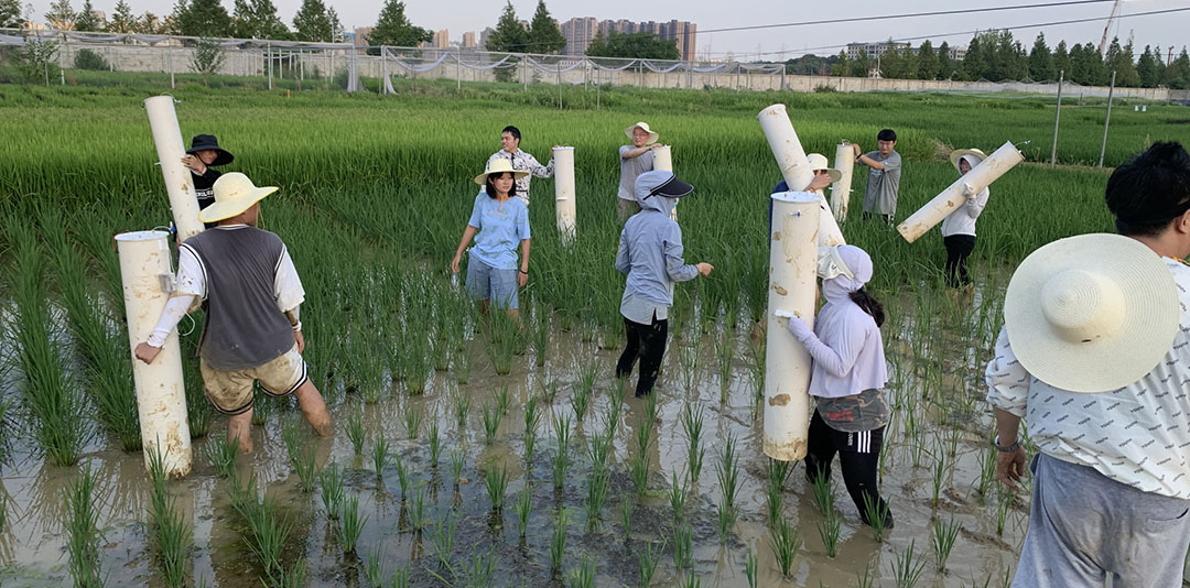 A-picture-from-one-of-the-field-trials-where-methane-measurement-devices-are-put-down-HA-ASN-Feb-2025