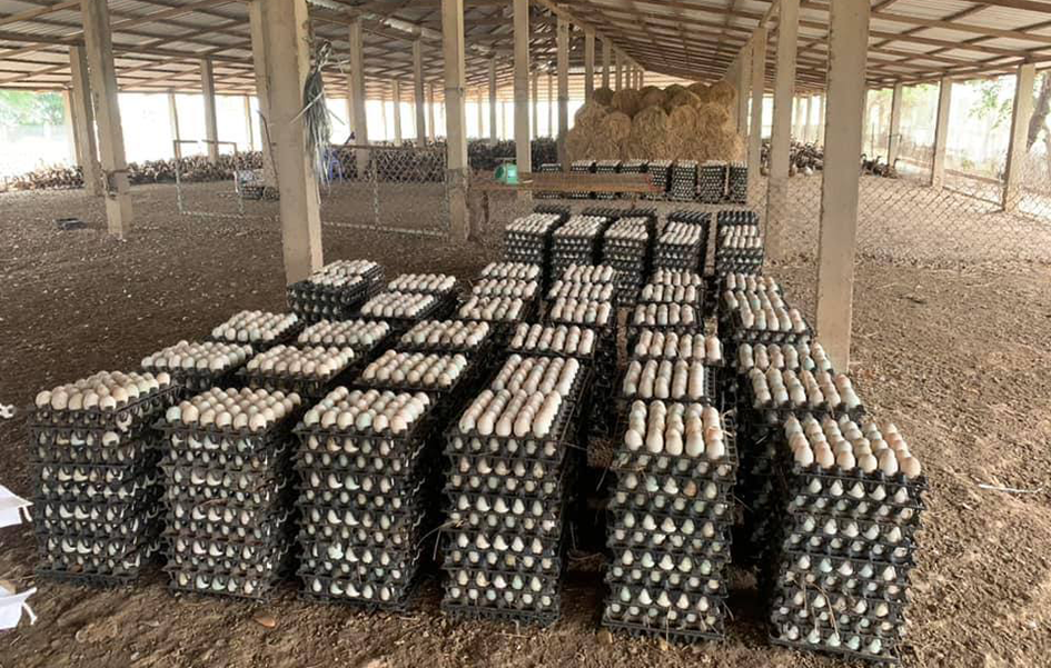 photo_2024-12-17_08-31-50