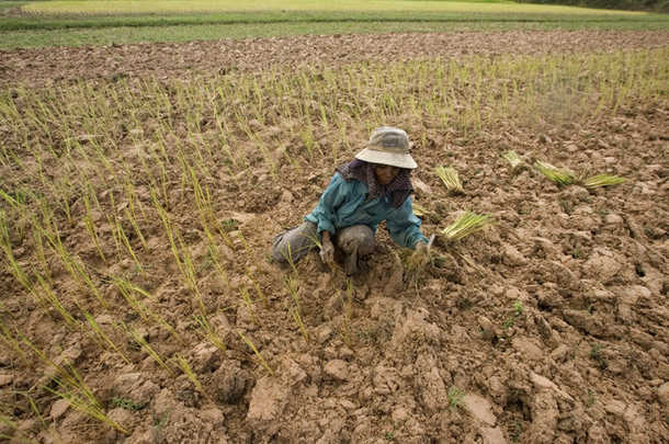 2009 drought (AP)