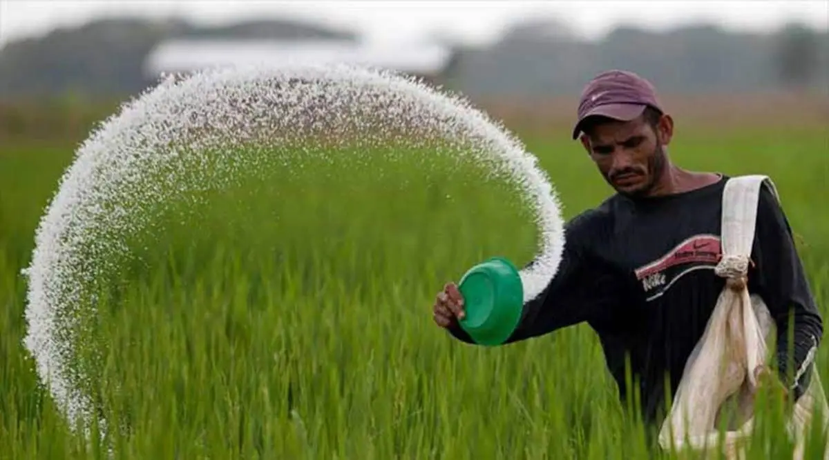 fertilizer