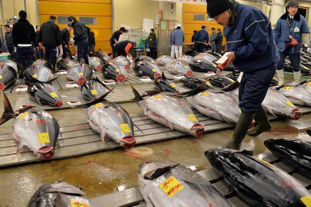 japan-economy-culture-fishing-auction-new_year-foo_40130827