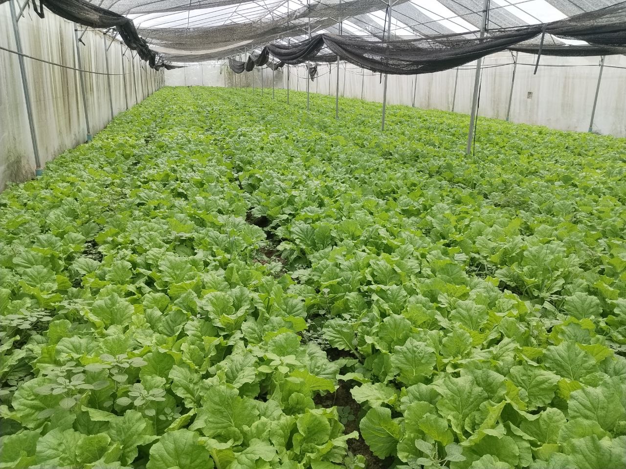 photo_2026-07-13_14-55-38