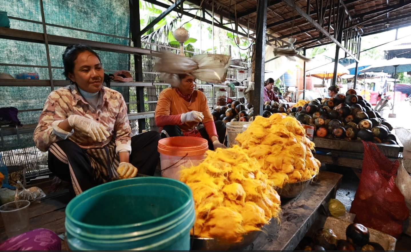 Screenshot 2026-08-07 073653