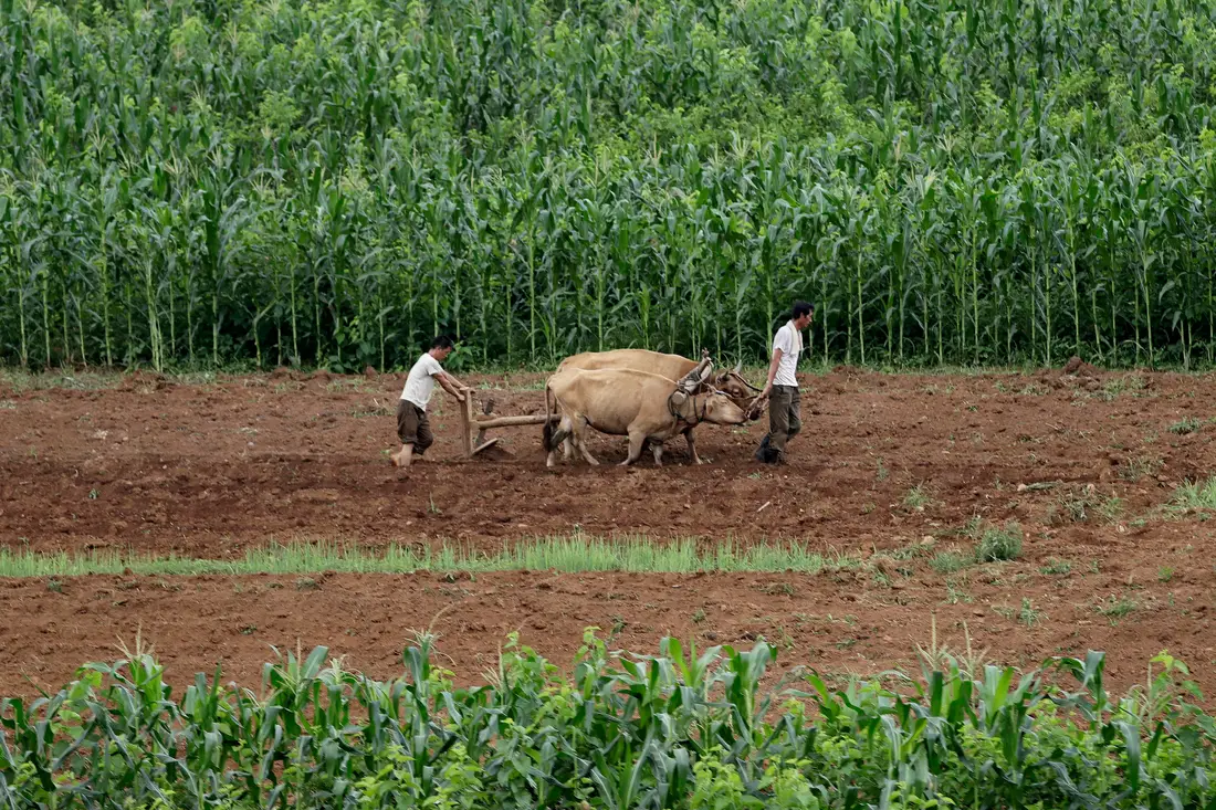 image_2026-08-13_08-02-29