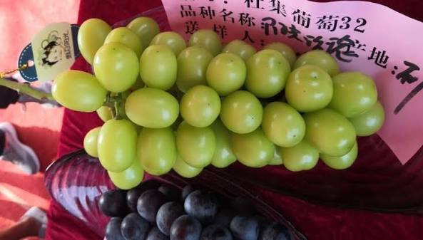 image_2026-08-26_10-15-40