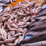 Fresh Fish at Central Food Market