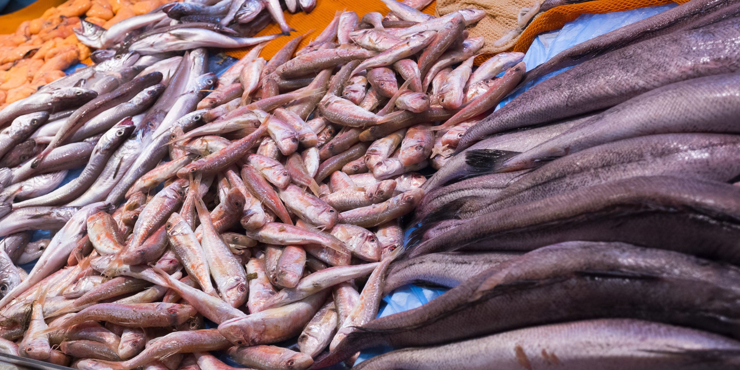 Fresh Fish at Central Food Market