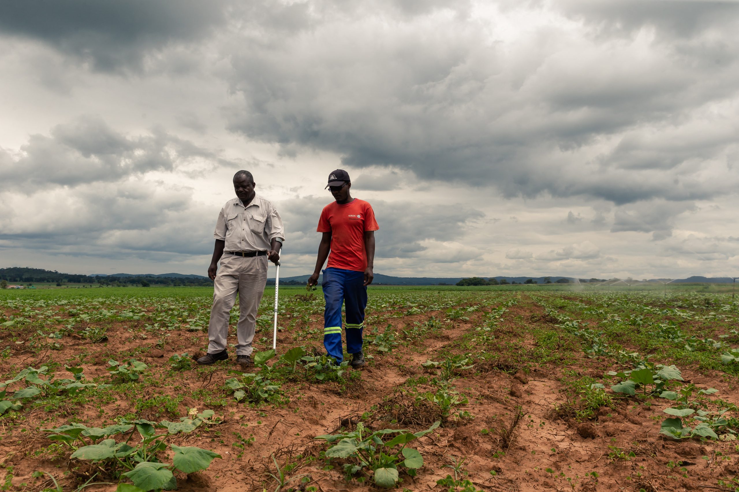 ZIMBABWE-LAND-POLITICS-ECONOMY