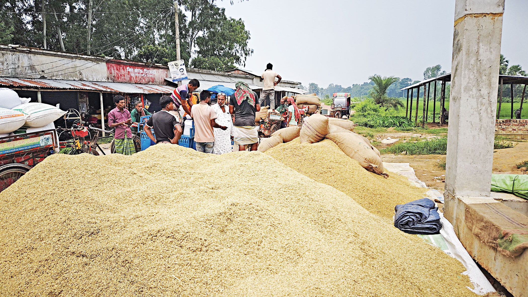Good-harvest-2