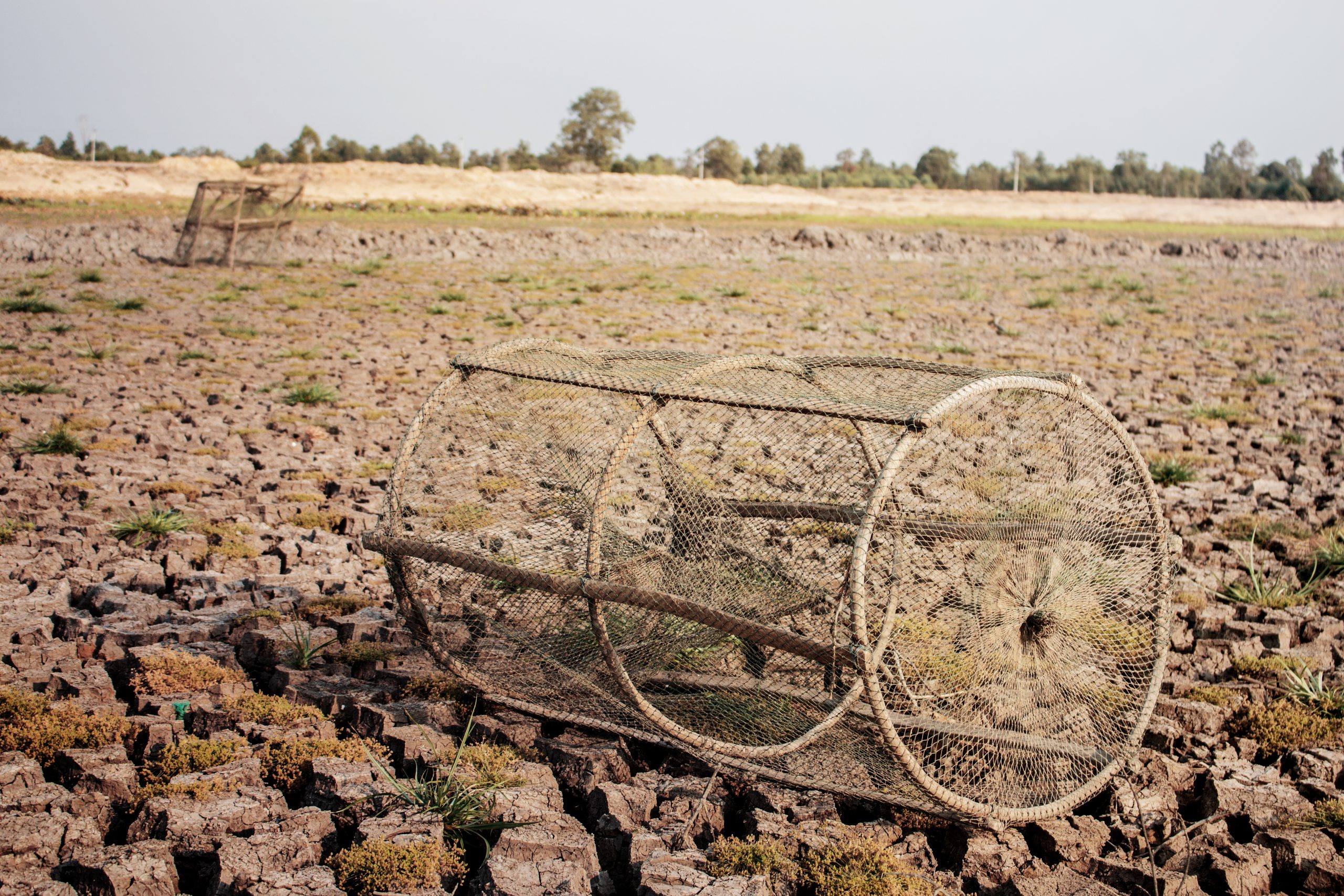 Old fish trap on ground.