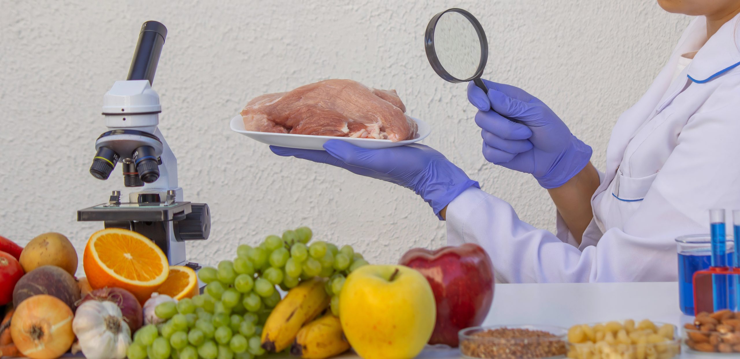 Meat and Food Quality Control Laboratory Testing with a Magnifying Glass