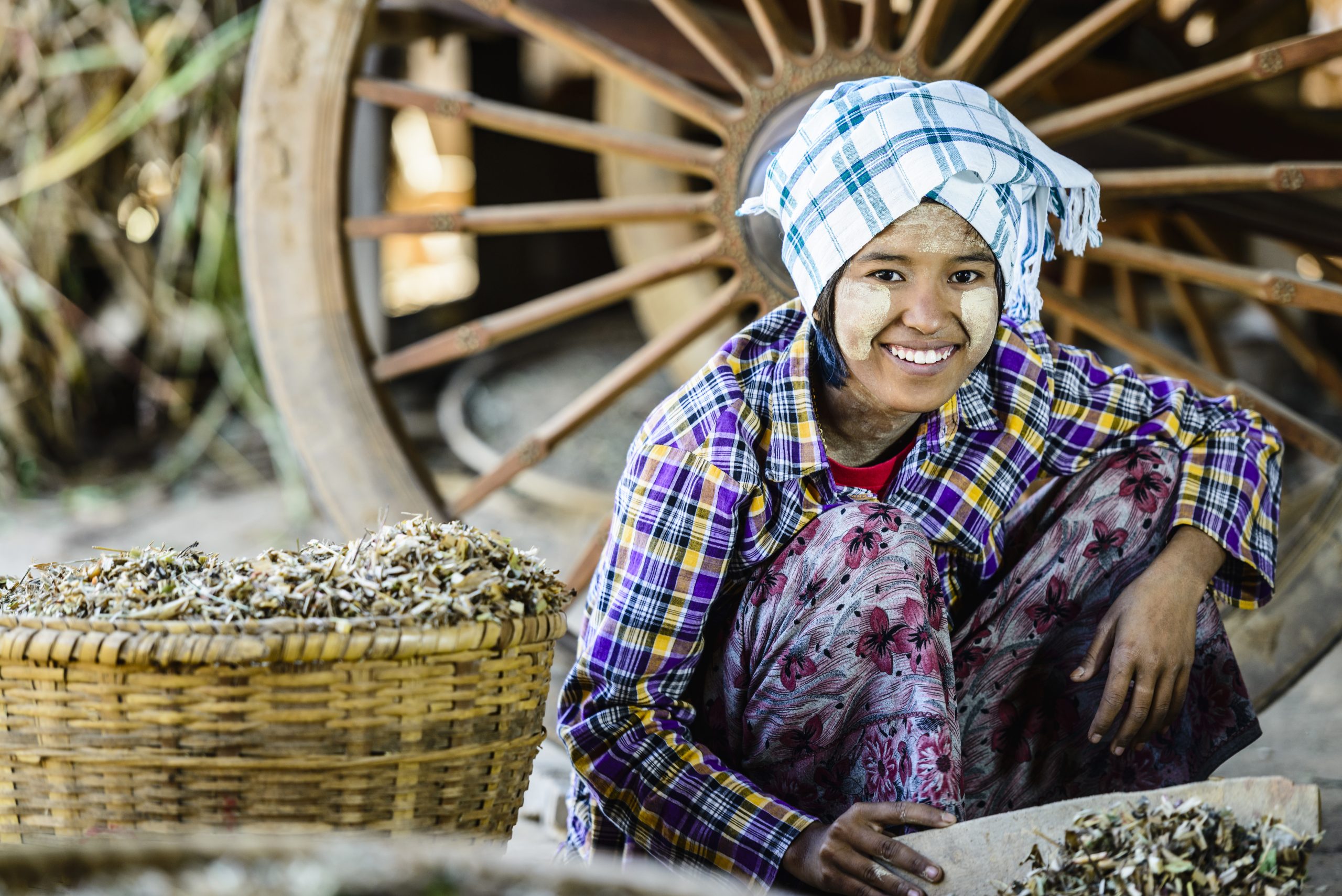 Bagan, Mandalay, Myanmar,Myanmar,Asian girl selling herbs in market