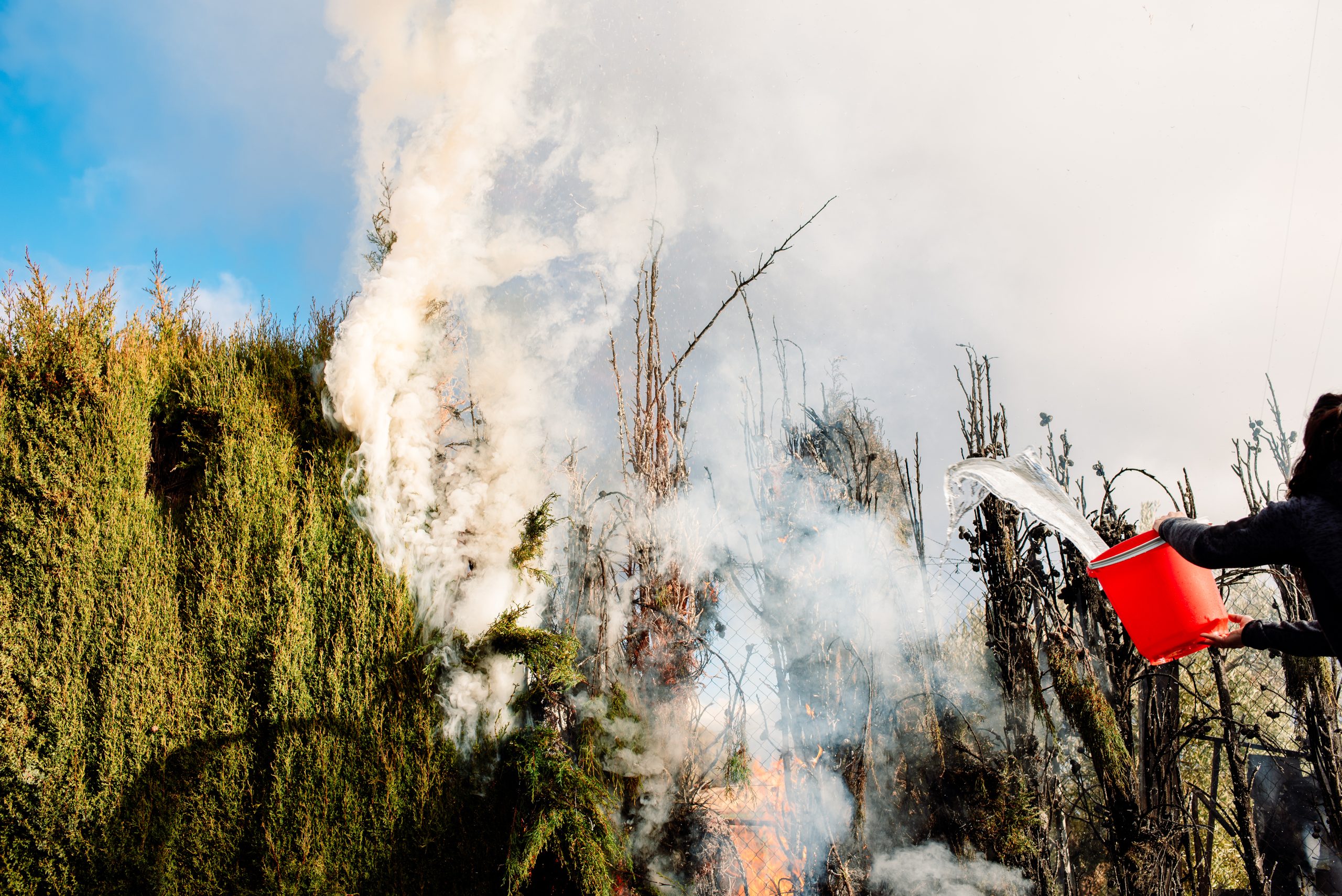 A person tries to extinguish a tree fire with buckets of water w